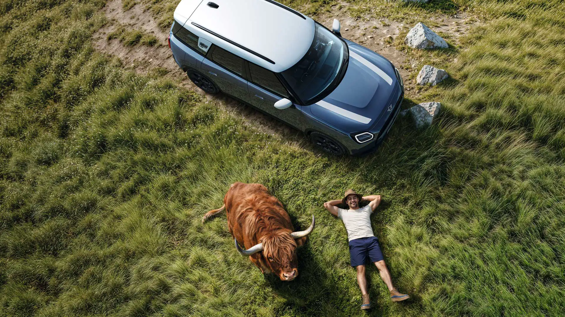 Man relaxing on grass next to his MINI Countryman S ALL4 and a Highland Bull lying next to him.