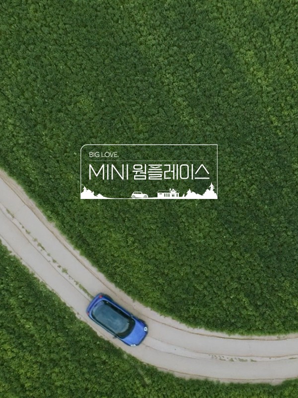 MINI Resolute Edition