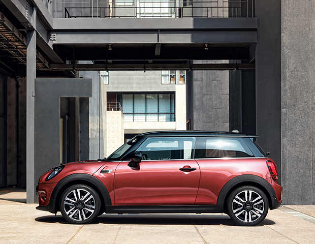 MINI ROSEWOOD EDITION