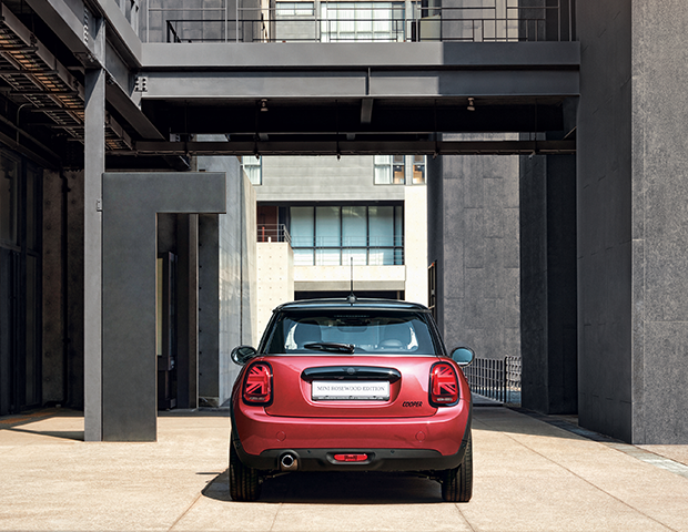 MINI ROSEWOOD EDITION